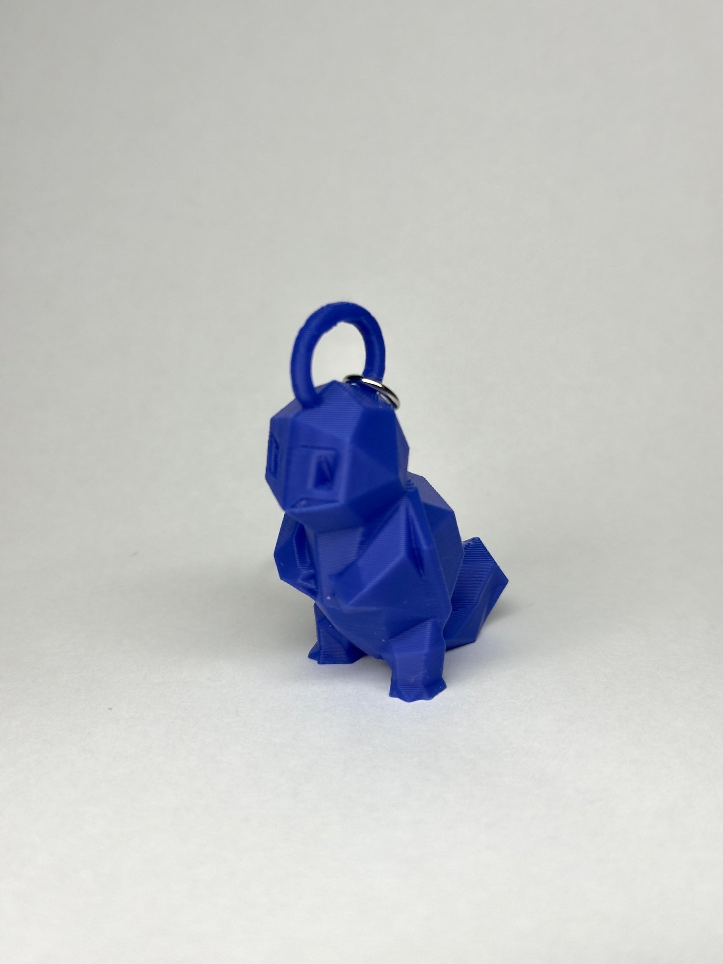 LUDACARDS KEICHAIN SQUIRI